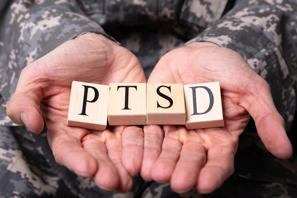 Veteran holding a sign in the palm of their hands that reads "PTSD".