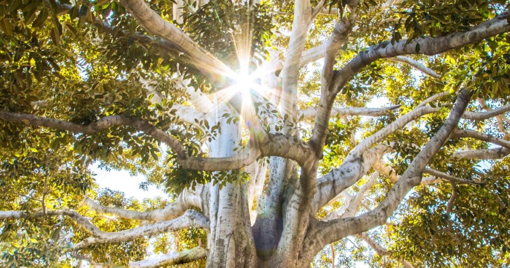 Mental health help and services in Miami