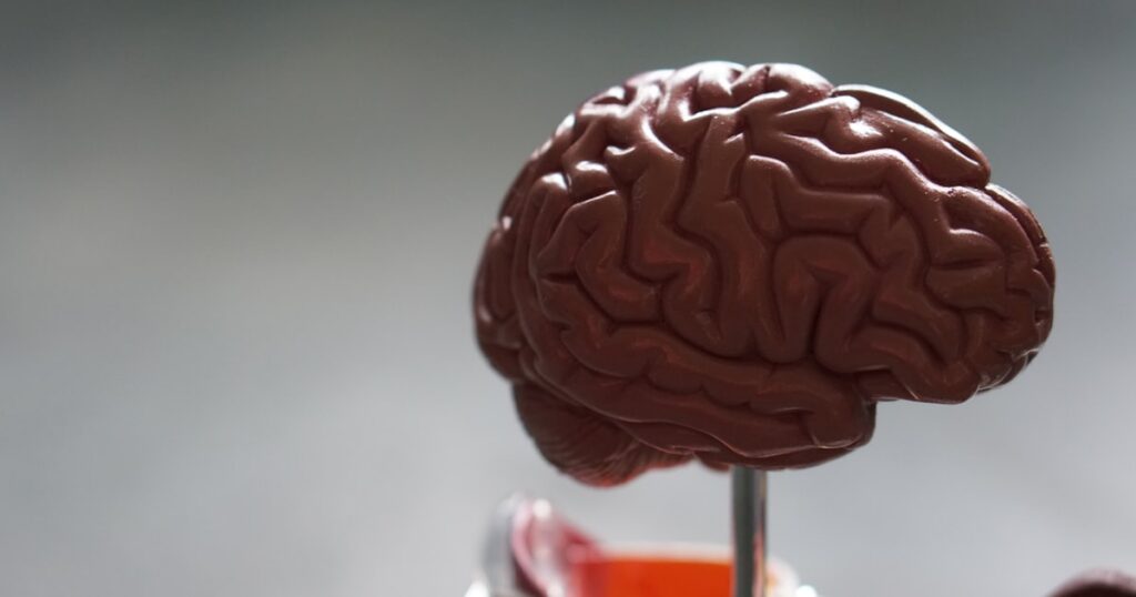 Psychology and psychiatry services in Miami