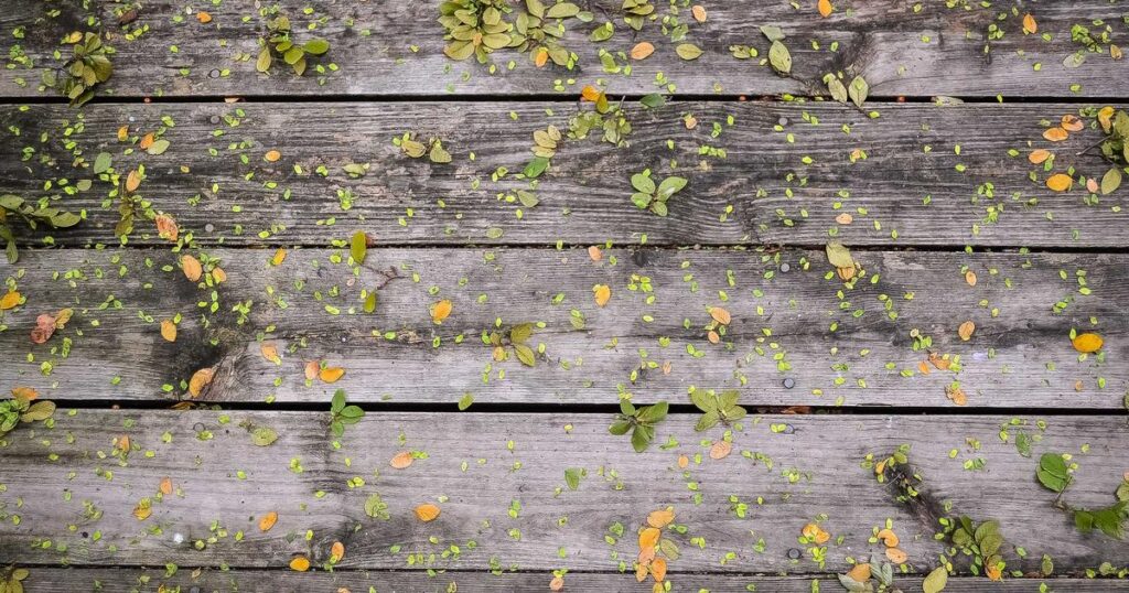 Emotional Validation: Why It Matters for Mental Health