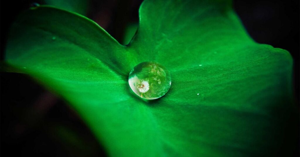 Home Remedies for Anxiety: Natural Strategies That Actually Work