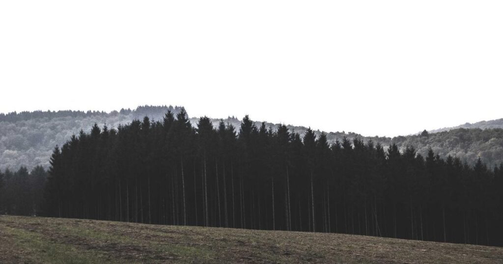 Intrusive Thoughts Examples: What They Look Like and When to Get Help
