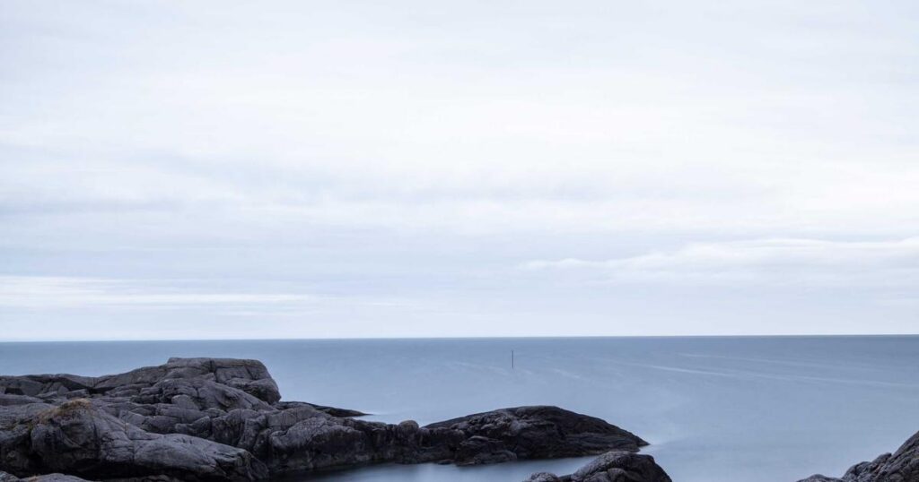OCD vs ADHD: How to Tell the Difference