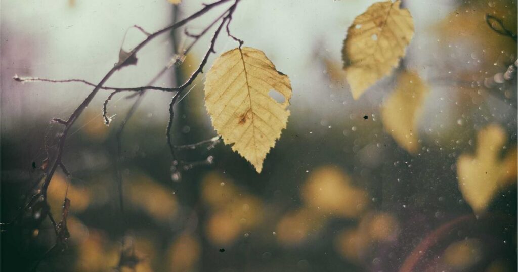 Signs of Depression: How to Recognize When You Need Help