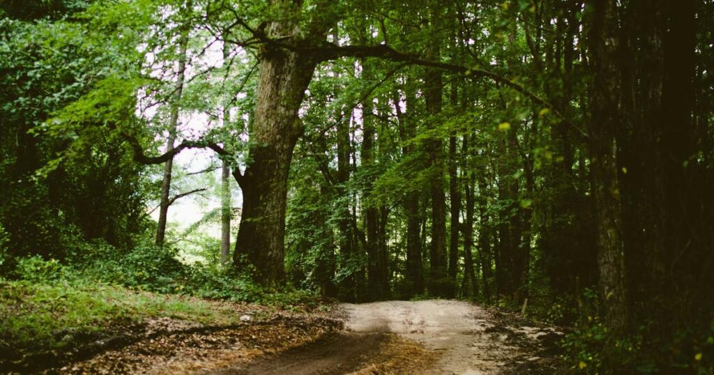 What Is a Mood Stabilizer? Types, Uses & What to Expect